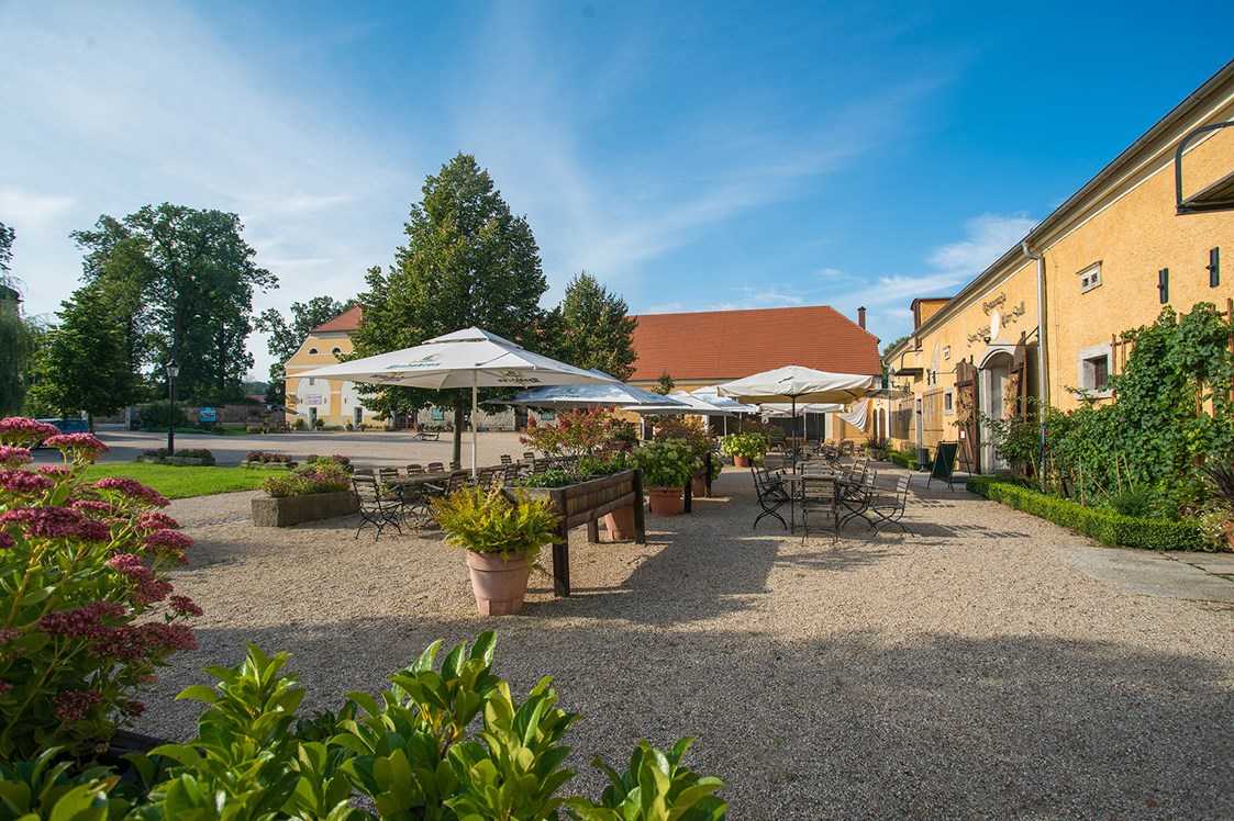 Ferienhaus mit Hund: Gutshof mit Restaurant "Alter Stall", Leinenladen und Hofladen - Schloss Lomnitz / Pałac Łomnica