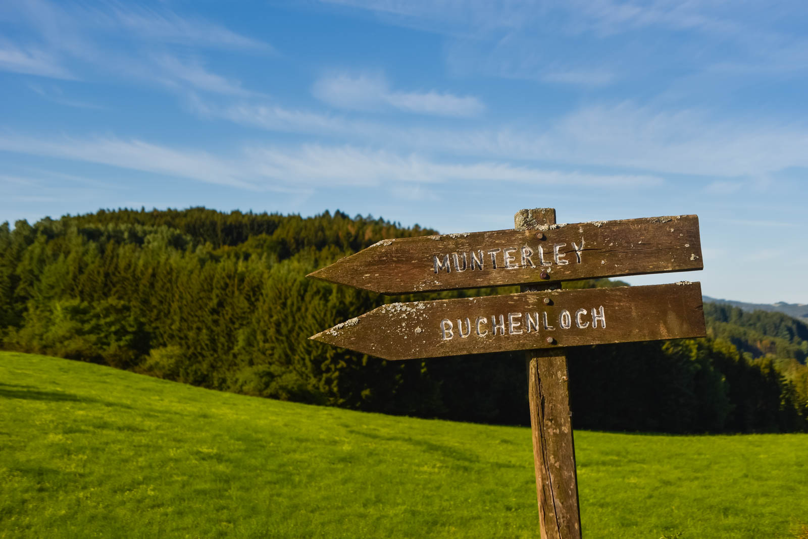 Urlaub-mit-Hund: Wandern in Gerolstein - Hotel Am Eifelsteig - Haus | Umgebung