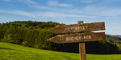 Hundehotel - Unterkunftsart: Hotel - Eifel - Wandern in Gerolstein - Hotel Am Eifelsteig