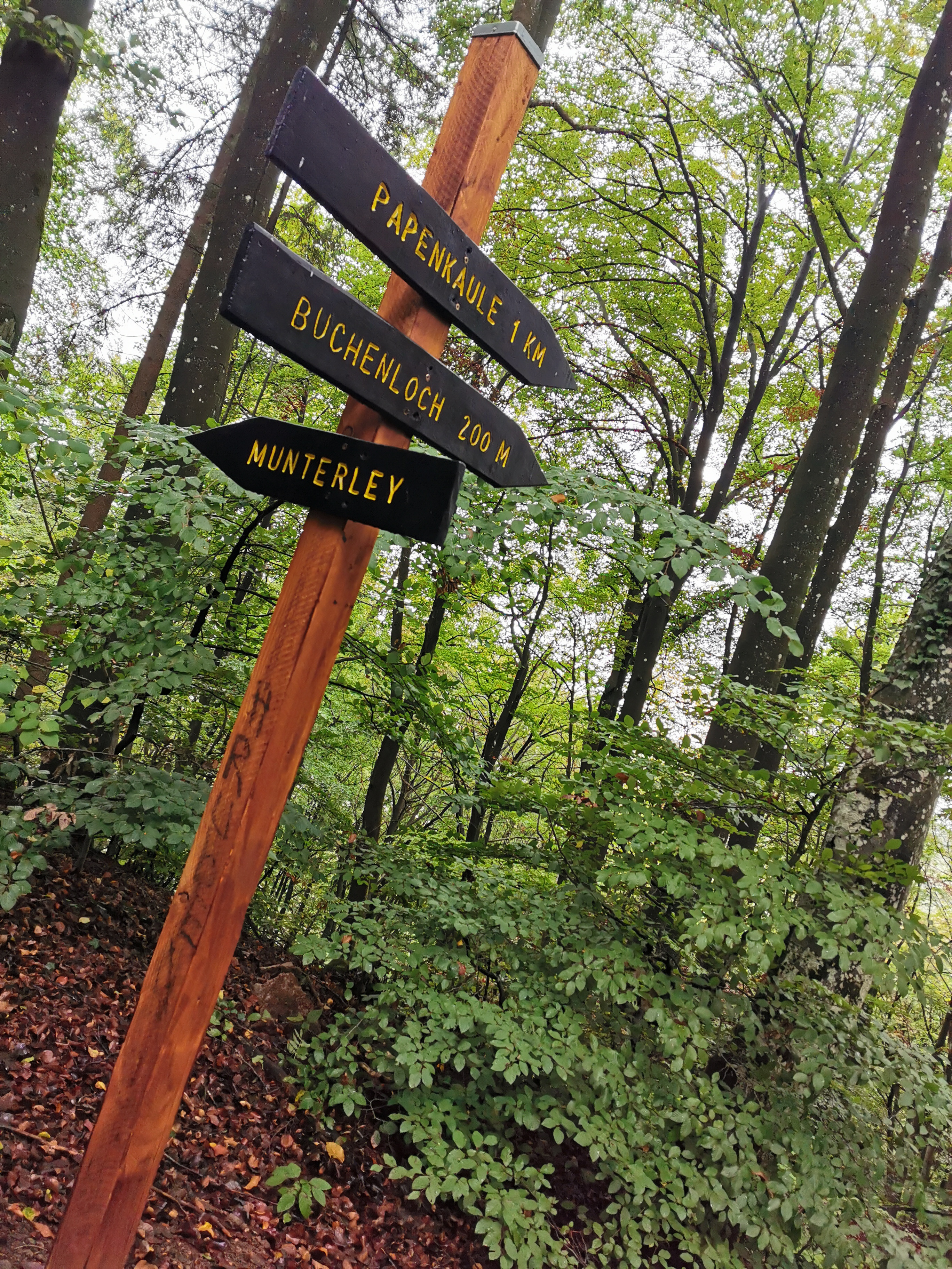 Urlaub-mit-Hund: Eifelsteig wandern - Hotel Am Eifelsteig - Urlaub mit Hund