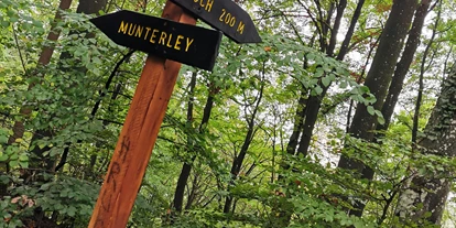 Hundehotel - Unterkunftsart: Hotel - Eifel - Eifelsteig wandern - Hotel Am Eifelsteig