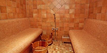 Hundehotel - Unterkunftsart: Hotel - Eifel - Wellnessbereich - Dampfbad - Hotel Am Eifelsteig