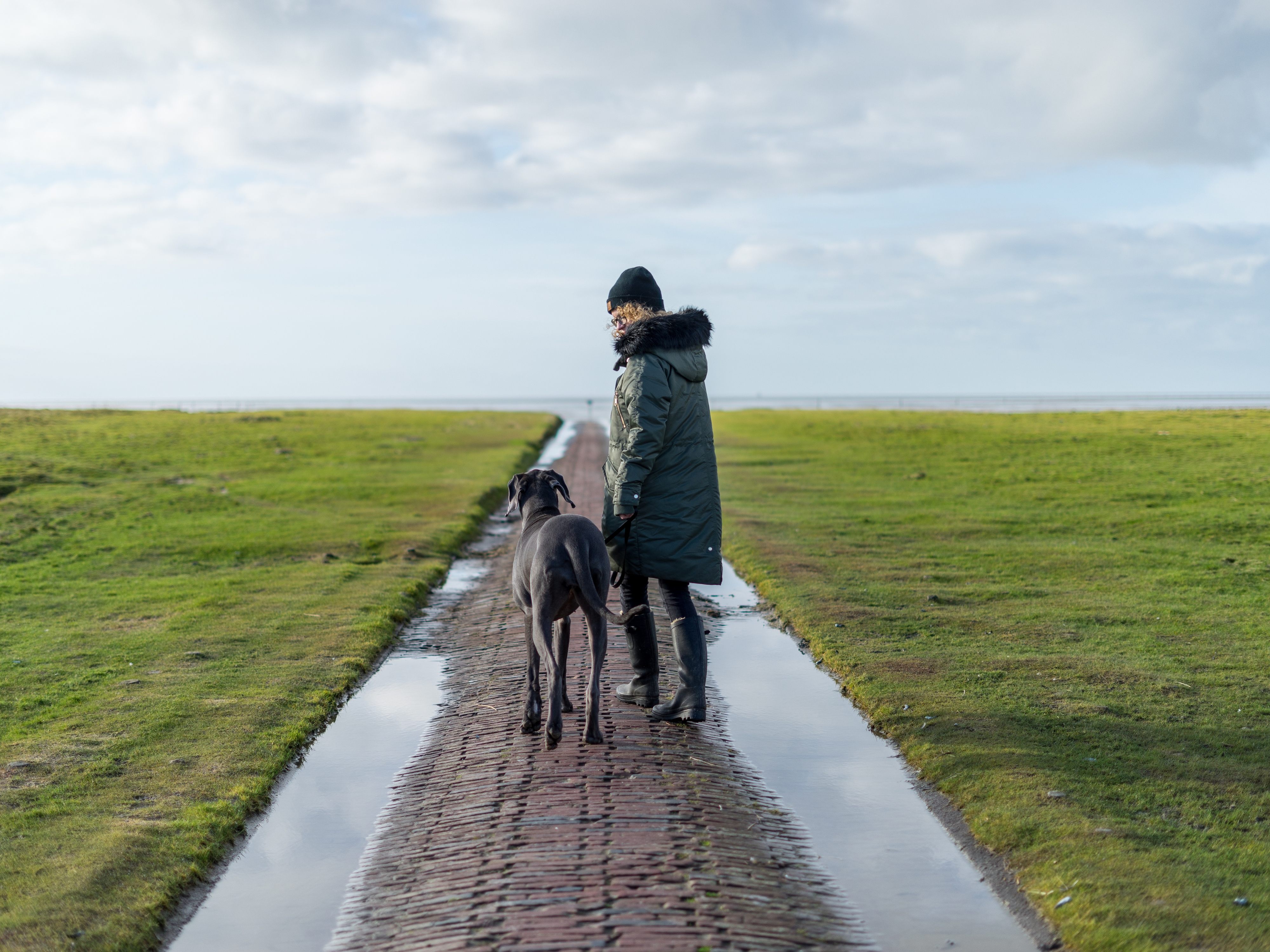Urlaub-mit-Hund: Hundespaziergang am Deich - BE BIO be natural