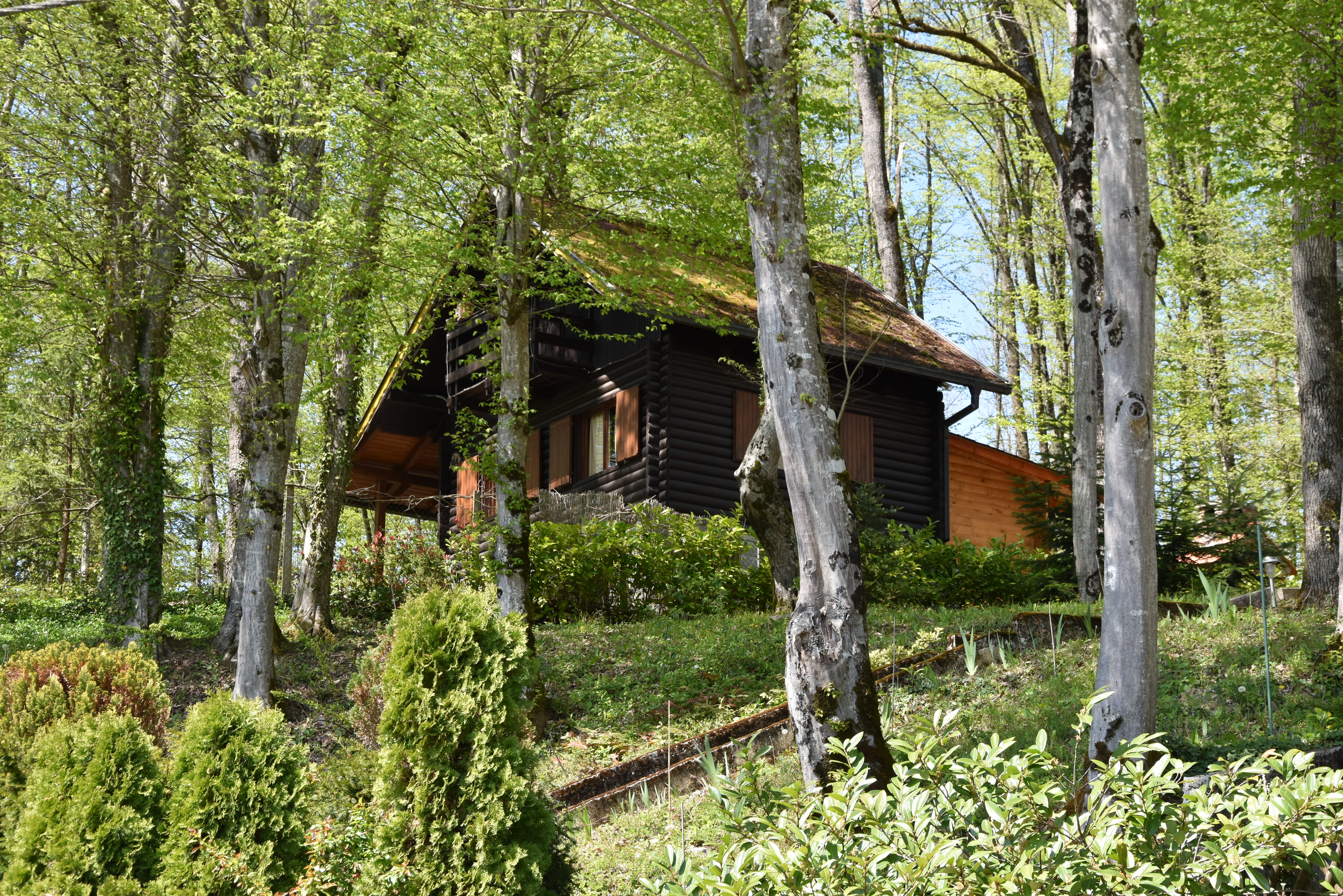 Ferienhaus mit Hund: pogled s ceste - Vikendica Bobica