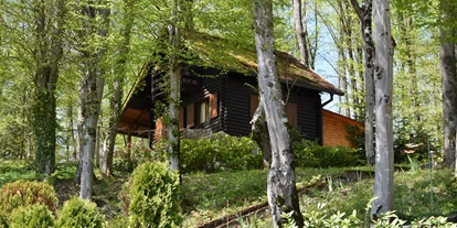 Hundehotel - Badewanne und Dusche - pogled s ceste - Vikendica Bobica