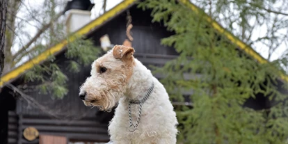 Hundehotel - Badewanne und Dusche - dobitni smo nagrade za najbolji smještaj za boravak s ljubimcima u Hrvatskoj 2017. i finalisti europskog natjecanja EHHA 2018. u istoj kategoriji - Vikendica Bobica
