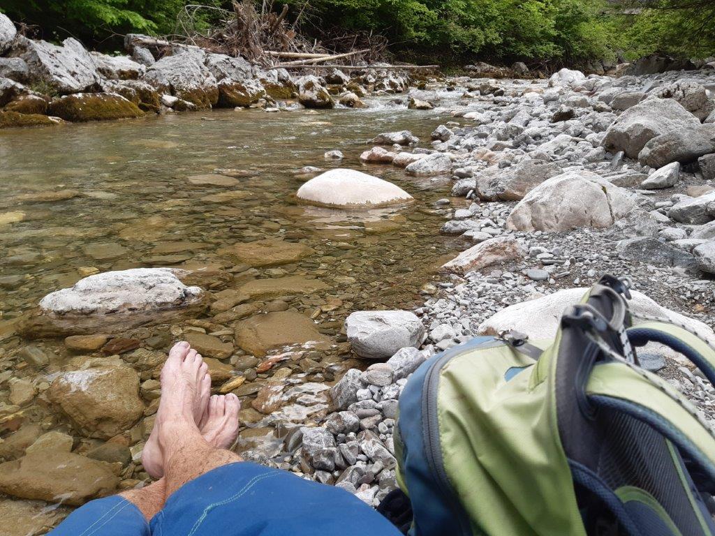 Urlaub-mit-Hund: Friedlwirt - Hotel & Ferienwohnungen