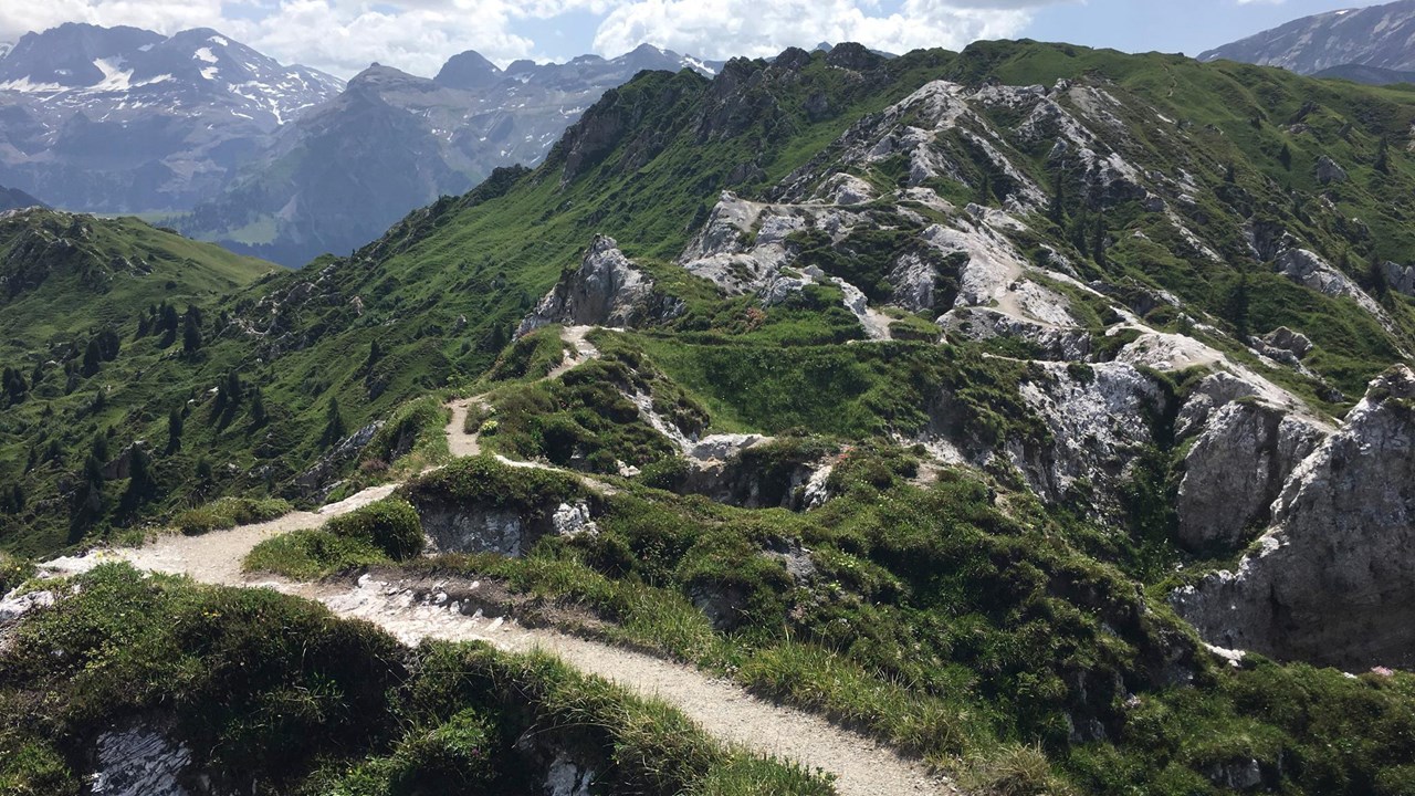 Digital Detox Hotel & Restaurant Simmenfälle  Ausflugsziele Blumenweg - Leiterli - Gryden