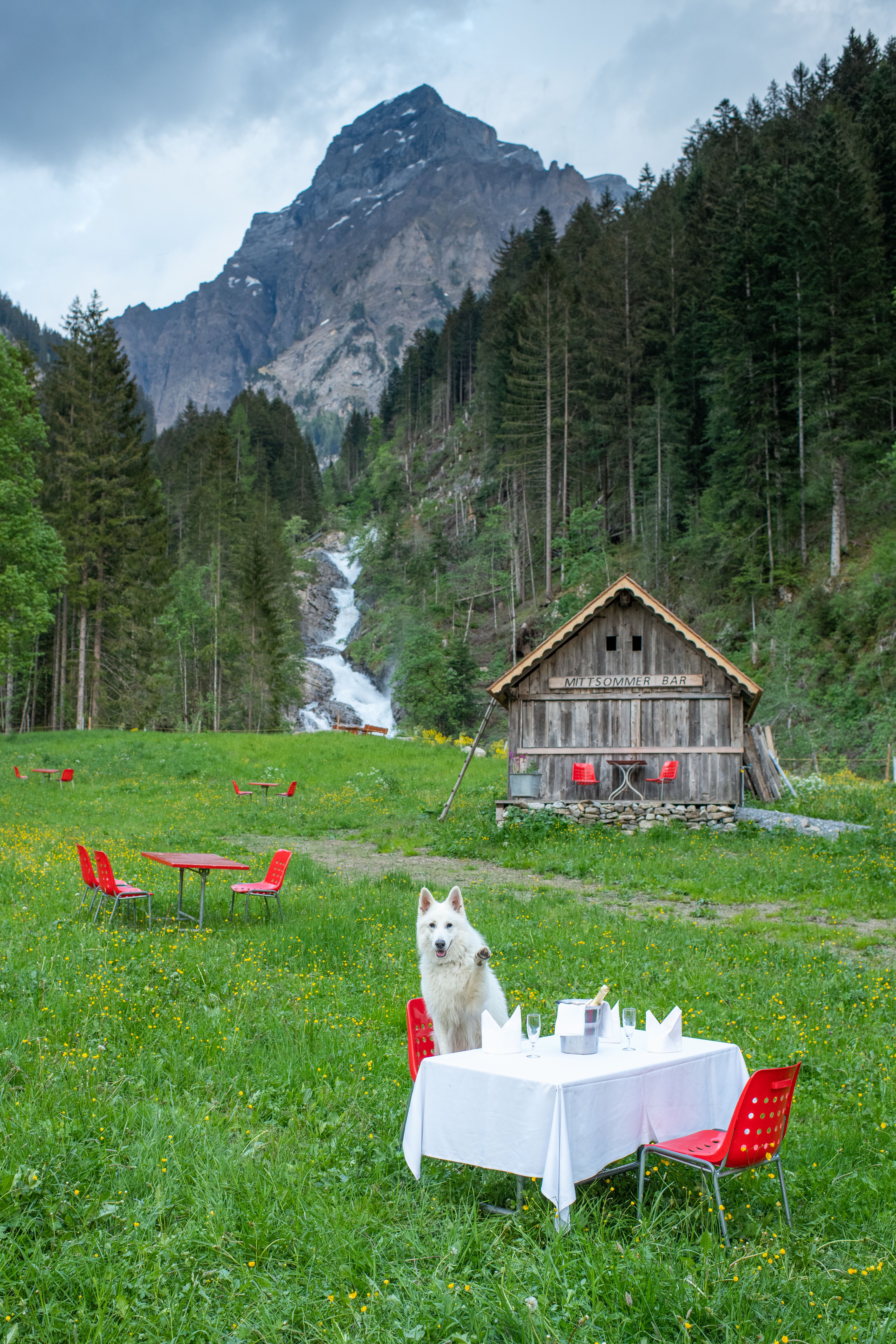Hundehotel - Klassifizierung: 3 Sterne - Berner Oberland - Digital Detox Hotel & Restaurant Simmenfälle 