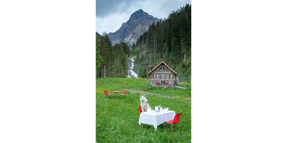 Hundehotel - PLZ 3920 (Schweiz) - Digital Detox Hotel & Restaurant Simmenfälle