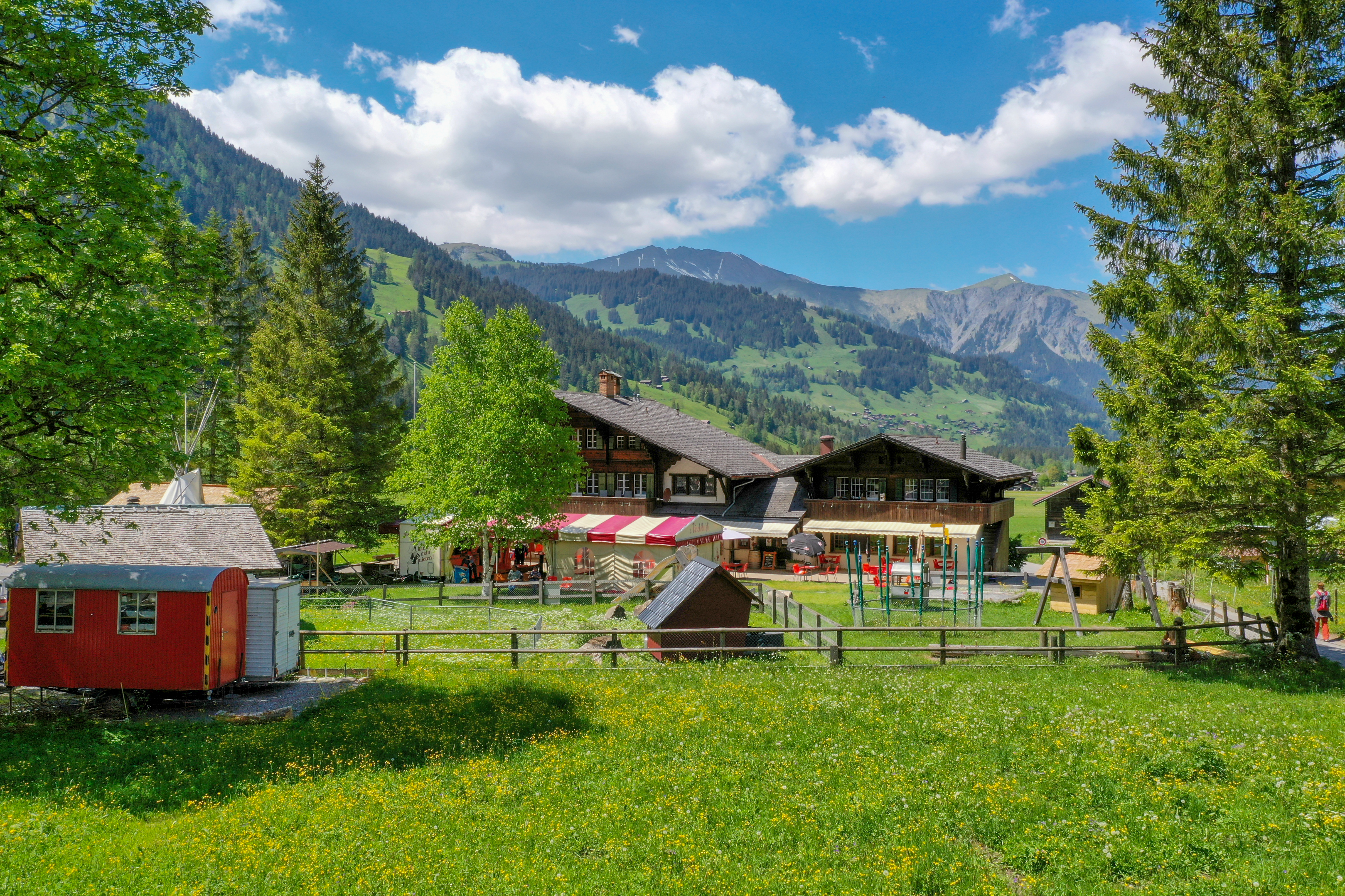 Urlaub-mit-Hund: Digital Detox Hotel & Restaurant Simmenfälle 