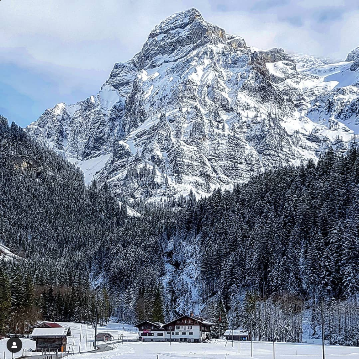 Urlaub-mit-Hund: Digital Detox Hotel & Restaurant Simmenfälle 