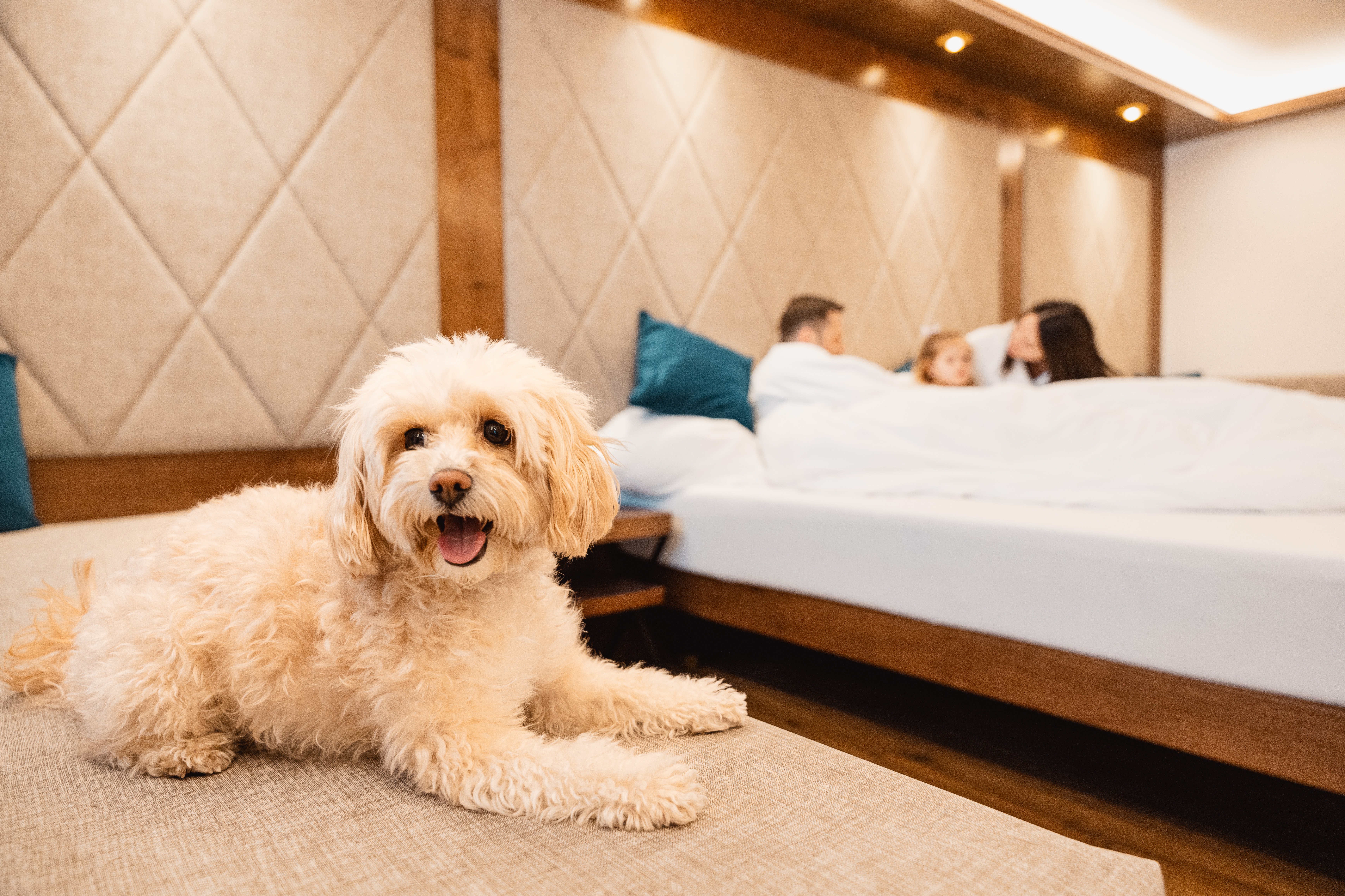 Hundehotel - WLAN - Zillertal - Sport & Spa Hotel Strass