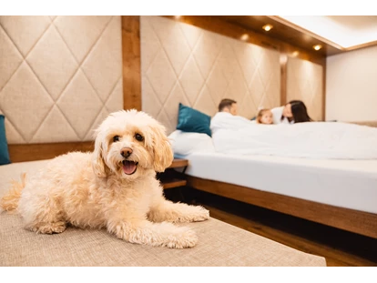 Hundehotel - Mariastein (Mariastein) - Sport & Spa Hotel Strass