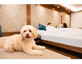 Urlaub-mit-Hund: Sport & Spa Hotel Strass