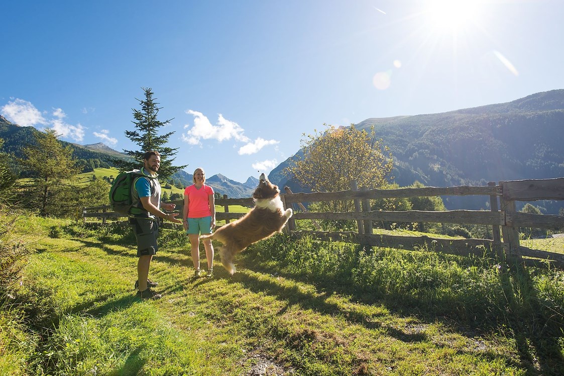 Ferienhaus mit Hund: Eine Almwanderung mit Hund ist ein Riesenspaß - Almchalet Goldbergleiten | Romantische Berghütte - traumhafte Sonnenlage im Nationalpark Hohe Tauern