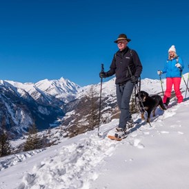 Ferienhaus mit Hund: Schneeschuh-Wandern mit dem Nationalpark-Ranger. Dein Hund darf mit ! - Almchalet Goldbergleiten | Romantische Berghütte - traumhafte Sonnenlage im Nationalpark Hohe Tauern