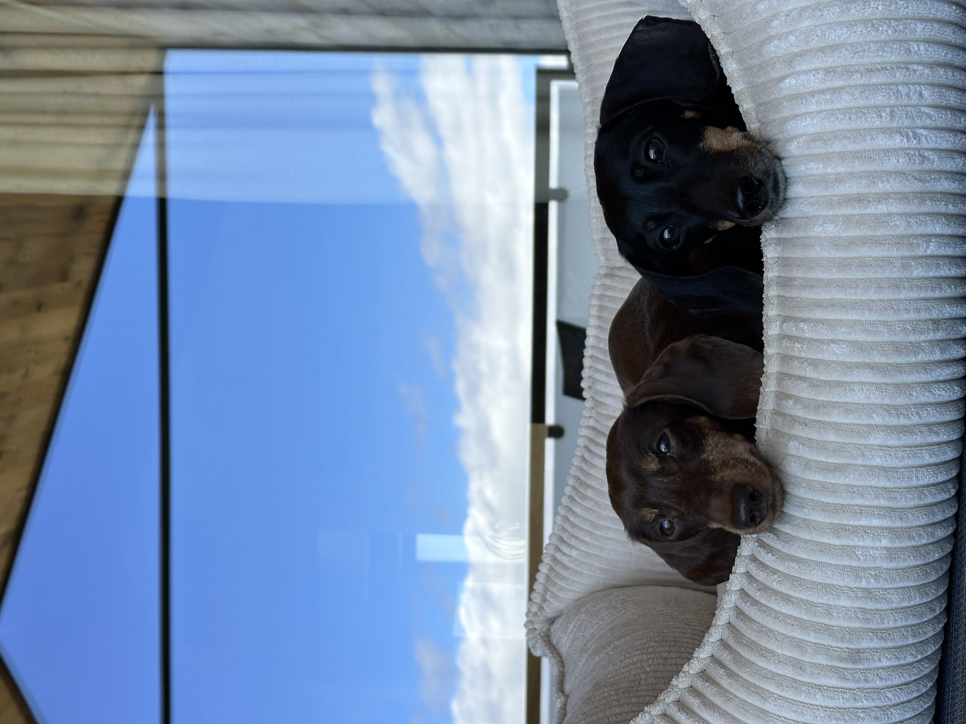 Ferienhaus mit Hund: Brandlalm Chalets