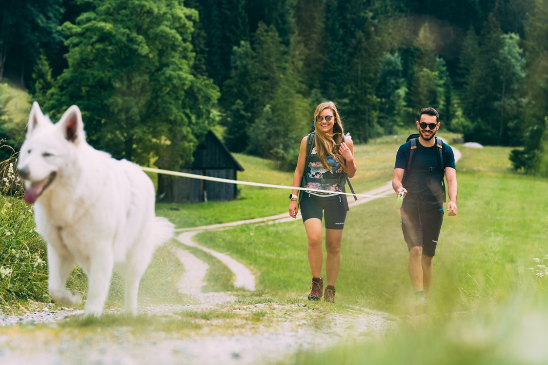 Urlaub-mit-Hund: Wandern mit Hund - Dilly - Das Nationalpark Resort