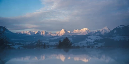 Hundehotel - Pools: Schwimmteich - Nature SPA Infinity Pool - Dilly - Das Nationalpark Resort