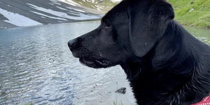 Hundehotel - Verpflegung: Frühstück - Vella - Hotel Erzhorn