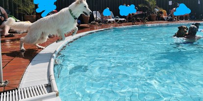 Hundehotel - Pools: Außenpool beheizt - Springen vom Beckenrand für Hunde erlaubt - Seehotel Moldan