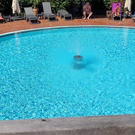 Urlaub-mit-Hund: Pool für Mensch & Hund - Seehotel Moldan