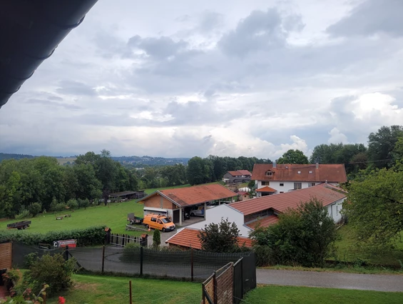 Urlaub-mit-Hund: Seehotel Moldan