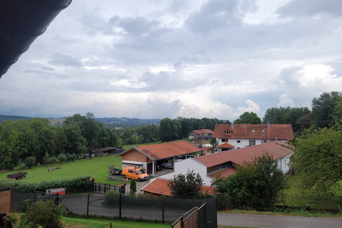 Urlaub-mit-Hund: Seehotel Moldan