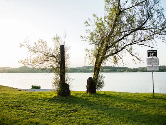 Urlaub-mit-Hund: Eigener Hundebadestrand am See - Seehotel Moldan