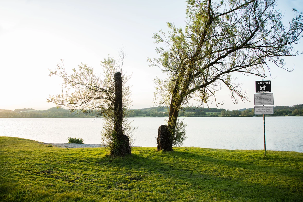 Urlaub-mit-Hund: Eigener Hundebadestrand am See - Seehotel Moldan