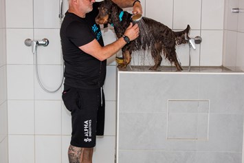 Urlaub-mit-Hund: Hundedusche - Seehotel Moldan