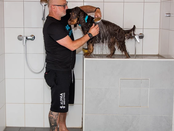 Urlaub-mit-Hund: Hundedusche - Seehotel Moldan