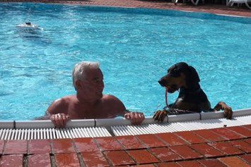 Urlaub-mit-Hund: Badevergnügen für alle - Seehotel Moldan