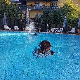 Urlaub-mit-Hund: Badespaß für Mensch und Hund - Seehotel Moldan