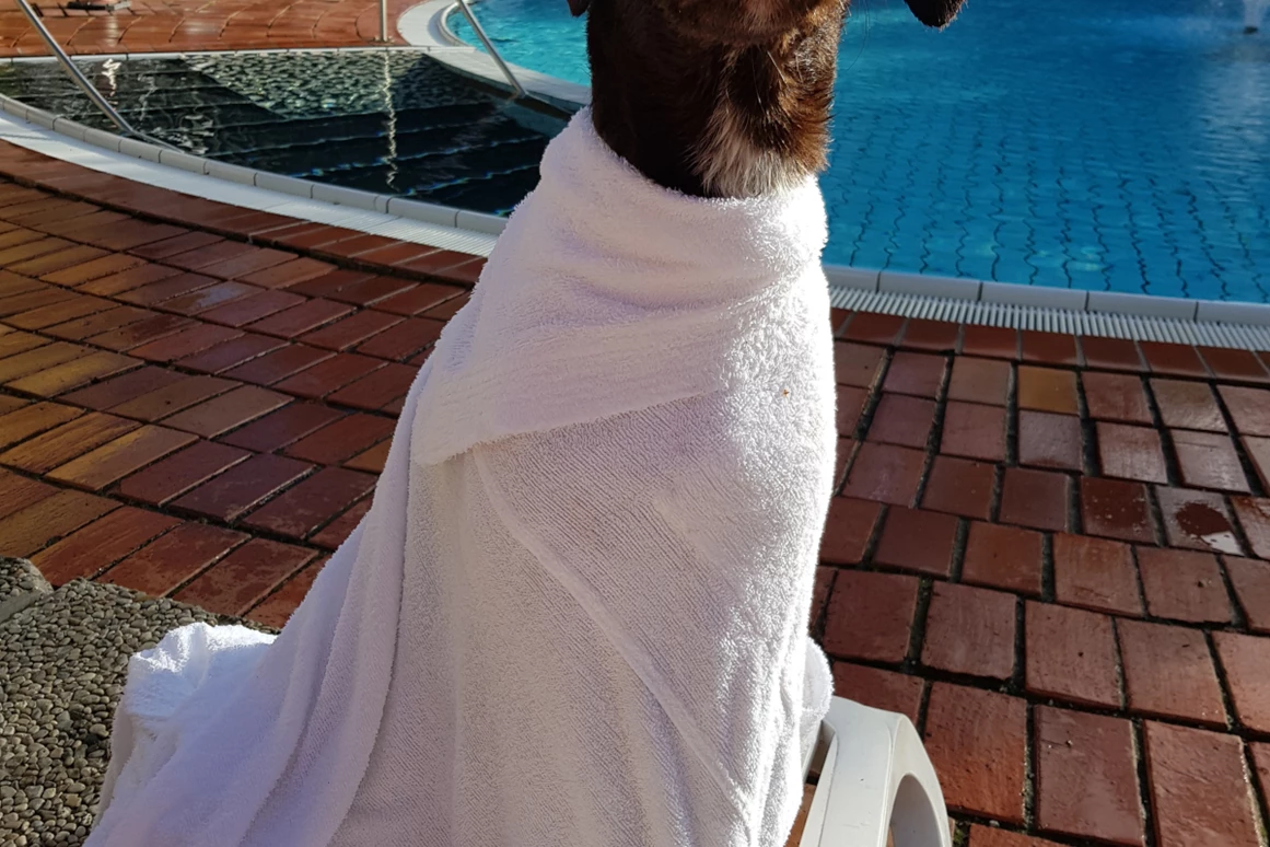 Urlaub-mit-Hund: Seehotel Moldan