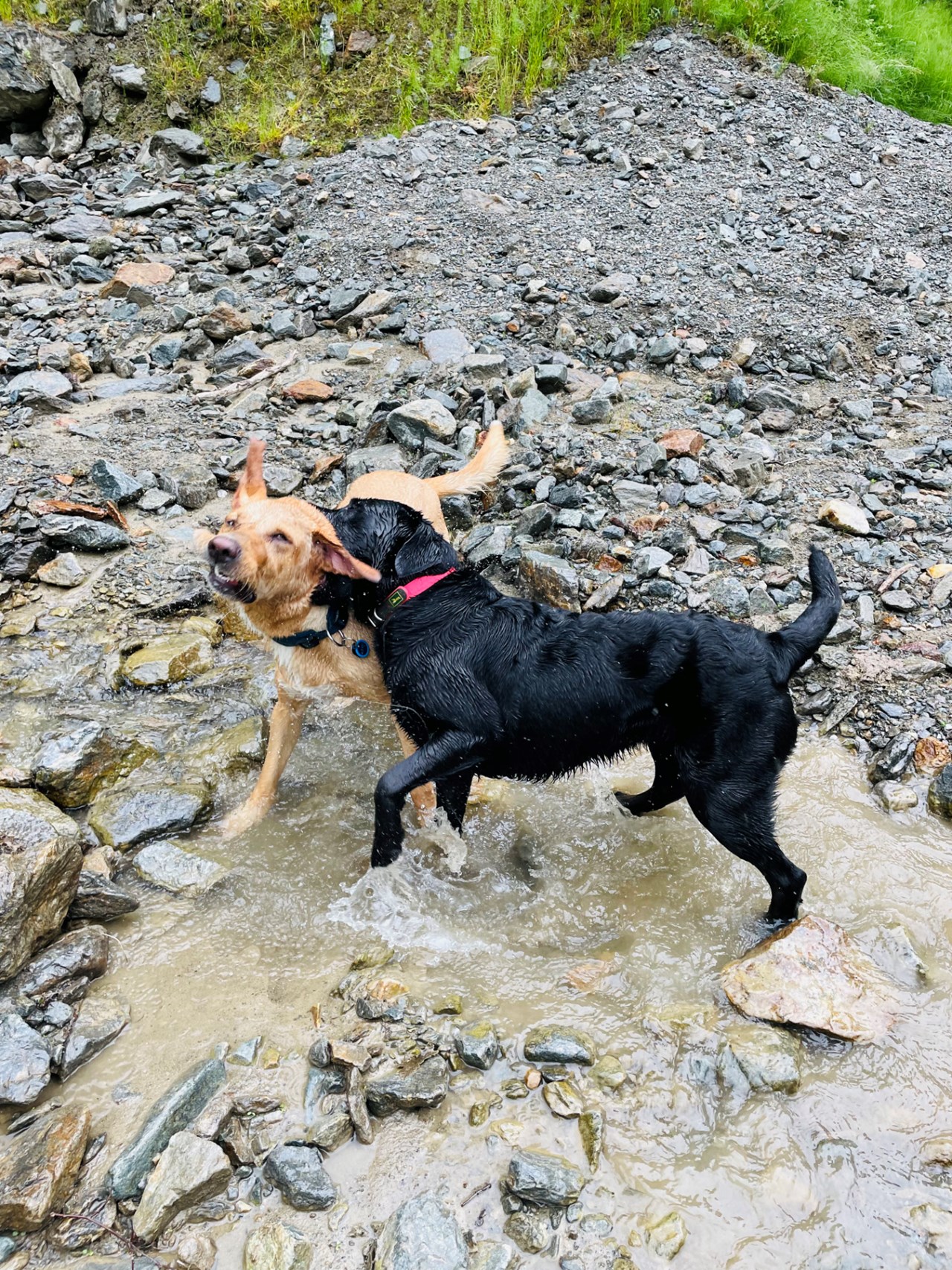 Feierabends Ferienhaus - Ferienwohnungen für alle Felle! Ausflugsziele Baden im Fluss Ruetz