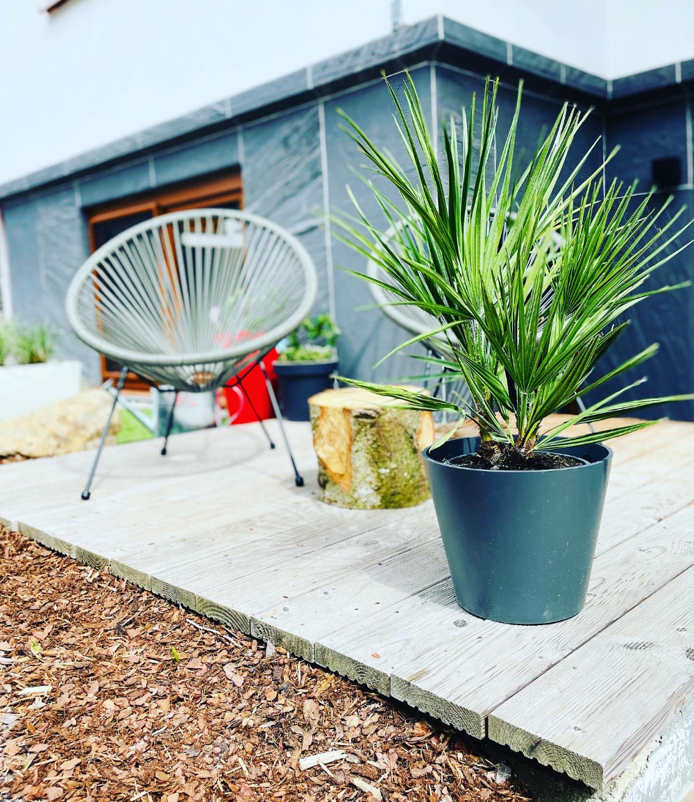 Feierabends Ferienhaus - Ferienwohnungen für alle Felle! Zimmerkategorien ALPENGLÖCKCHEN