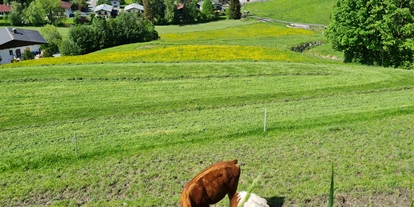 Hundehotel - WLAN - Berchtesgaden - Panorama Guggenbichl - Hotel Garni & Appartement