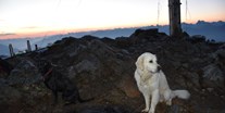 Hundehotel - Goldrain - Latsch - Urlaubsvergnügen für Mensch und Hund - Hotel Jennys Schlössl