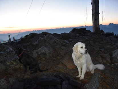 Hundehotel - Ladis - Urlaubsvergnügen für Mensch und Hund - Hotel Jennys Schlössl