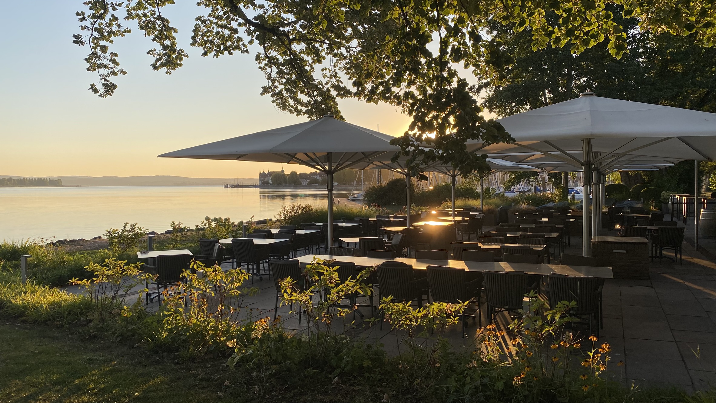 Hundehotel - Region Bodensee - See & Park Hotel Feldbach