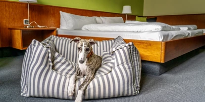 Hundehotel - Doggies: 3 Doggies - Hunde willkommen! - k1 sporthotel Kurort Oberwiesenthal