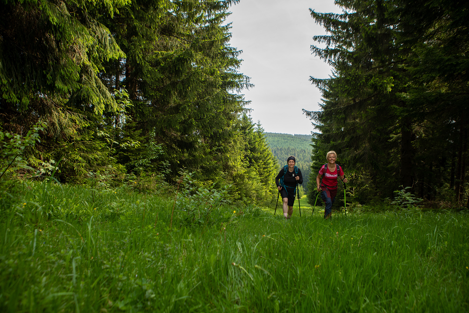 Urlaub-mit-Hund: Wandern im Erzgebirge - Einstieg in Wanderwege direkt vor der Hoteltür - k1 sporthotel Kurort Oberwiesenthal