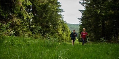 Hundehotel - Doggies: 3 Doggies - Wandern im Erzgebirge - Einstieg in Wanderwege direkt vor der Hoteltür - k1 sporthotel Kurort Oberwiesenthal