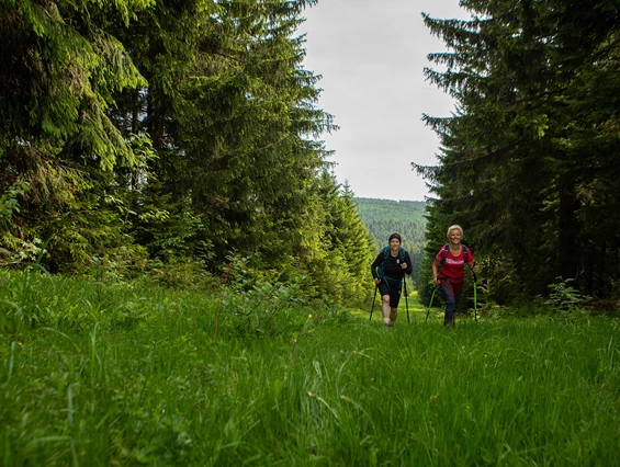 Urlaub-mit-Hund: Wandern im Erzgebirge - Einstieg in Wanderwege direkt vor der Hoteltür - k1 sporthotel Kurort Oberwiesenthal