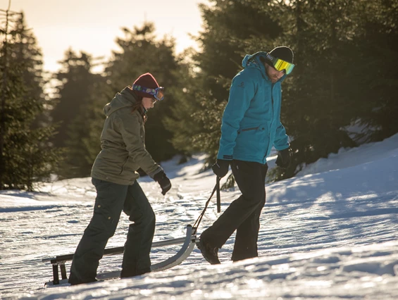 Urlaub-mit-Hund: Rodelverleih im Winter - k1 sporthotel Kurort Oberwiesenthal