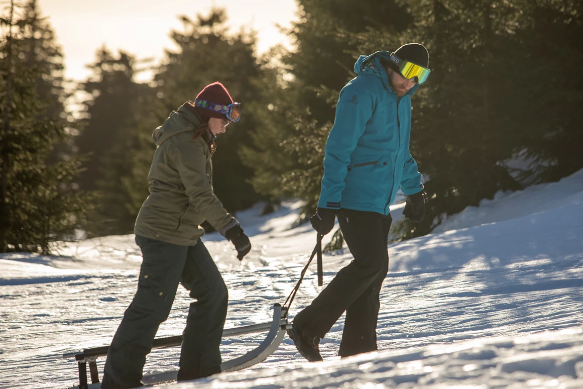 Urlaub-mit-Hund: Rodelverleih im Winter - k1 sporthotel Kurort Oberwiesenthal