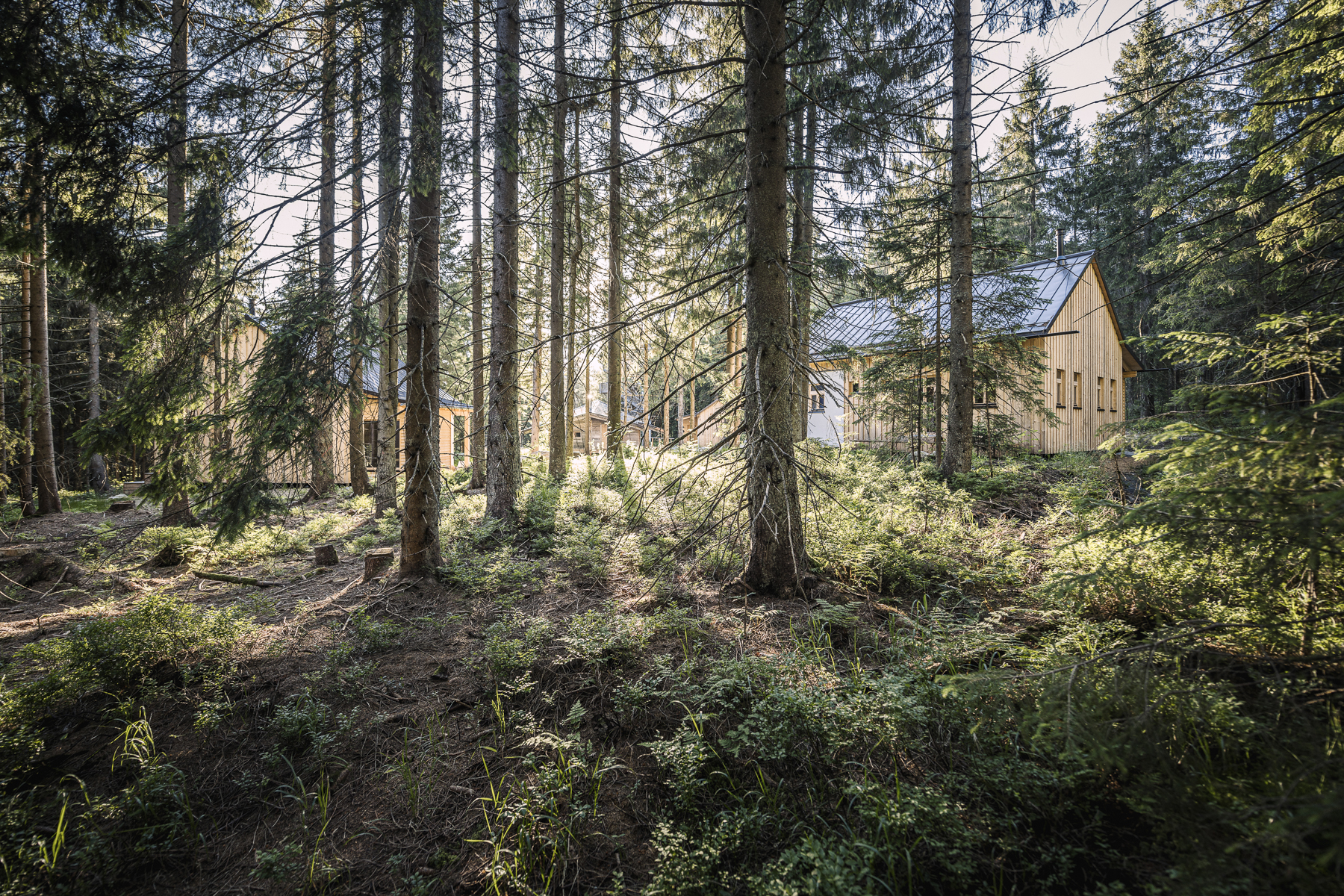 Ferienhaus mit Hund: Ramenai Das Böhmerwaldlerdorf