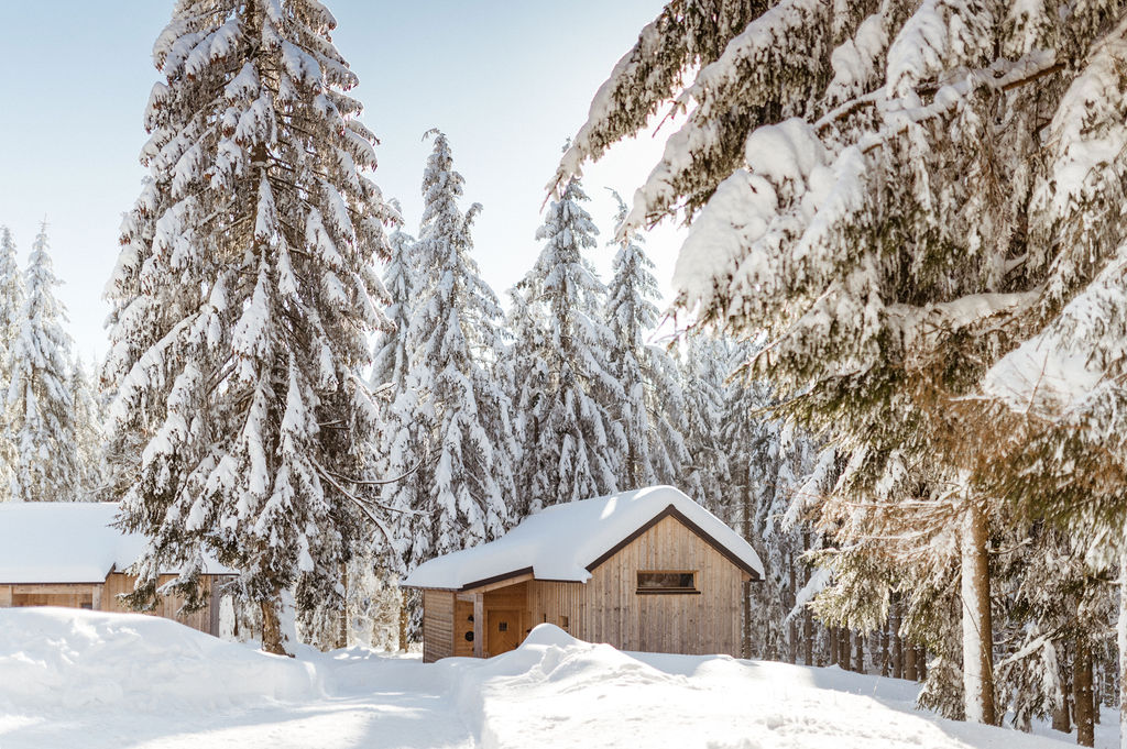 Ferienhaus mit Hund: Ramenai Das Böhmerwaldlerdorf